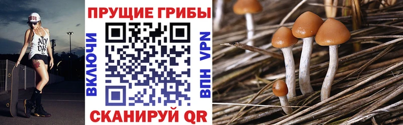 Купить закладки Славск Галлюциногенные грибы ЛСД